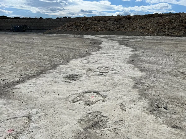 The biggest discovery of dinosaur footprints