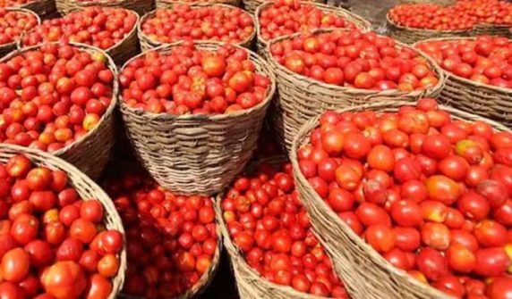Tomato prices skyrocket in Badin after rains destroy crops