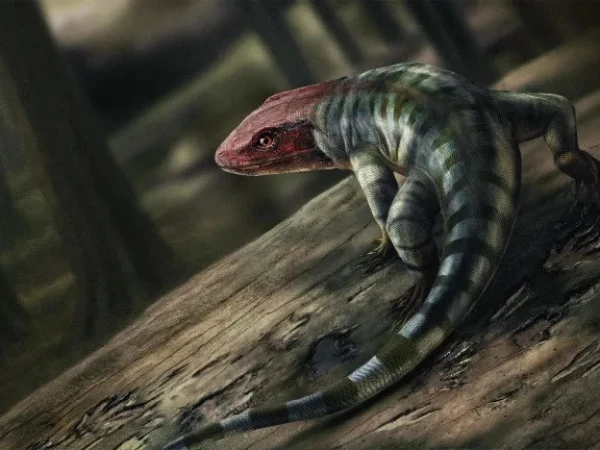 remains of strange animal discovered in Scotland