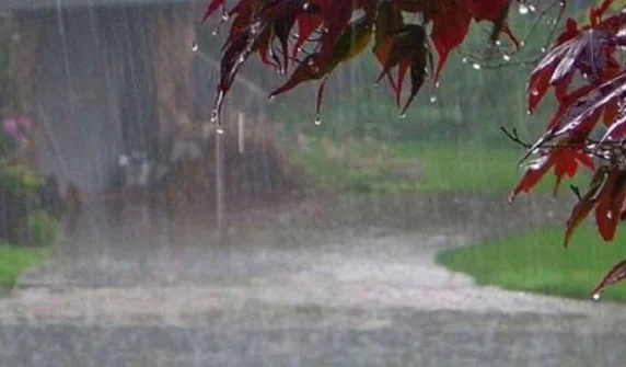 Rain alert issued in Pakhtunkhwa from today