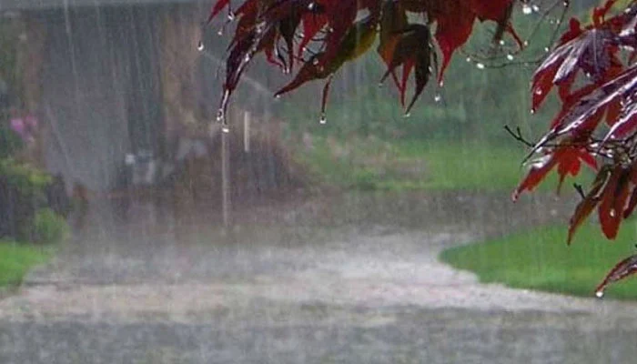 Rain alert issued in Pakhtunkhwa from today
