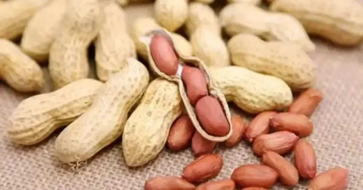 What happens if you drink water after eating peanuts in the cold?