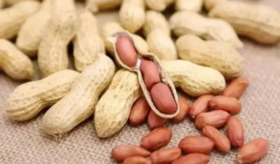 What happens if you drink water after eating peanuts in the cold?