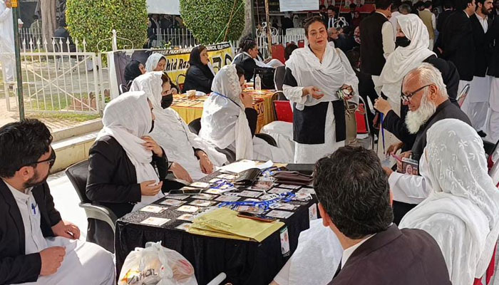Khyber Pakhtunkhwa Bar Council elections