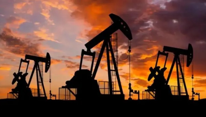 Federal government awards 23 new offshore blocks to Mari Energies