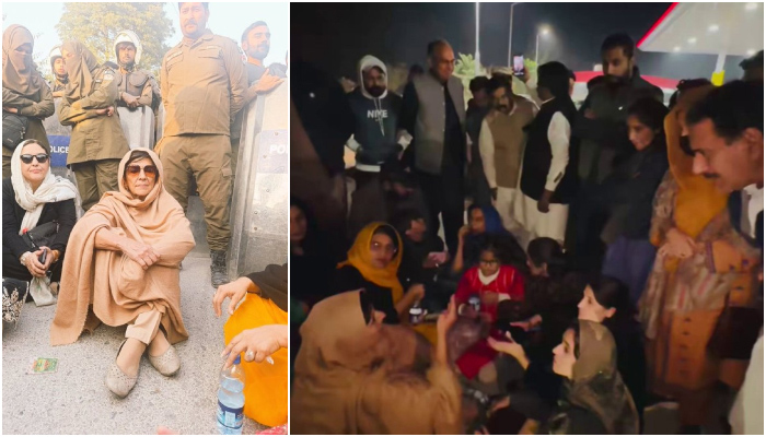 several activists including Aleema Khan released