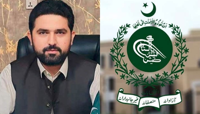 Election Commission issues notice on Sohail Afridi's