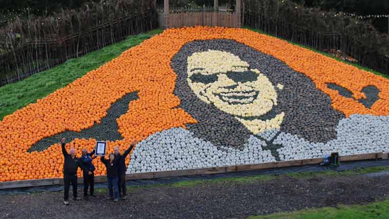 Legendary singer's pumpkin mosaic sets record