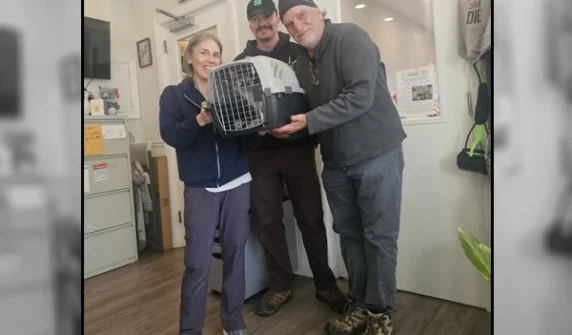 Cat missing for 10 years found by owners