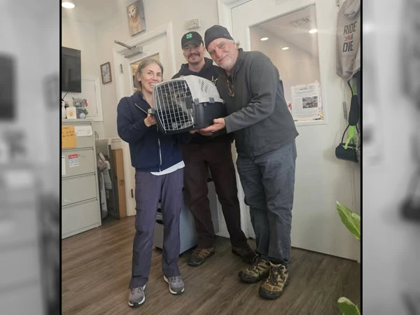 Cat missing for 10 years found by owners