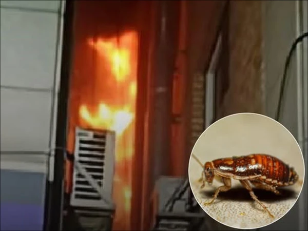 Fear of Lal Beg, woman burns down her house