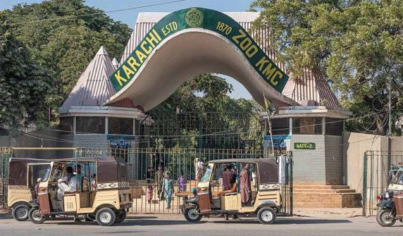 Sindh High Court establishes high-level committee to phase out zoos
