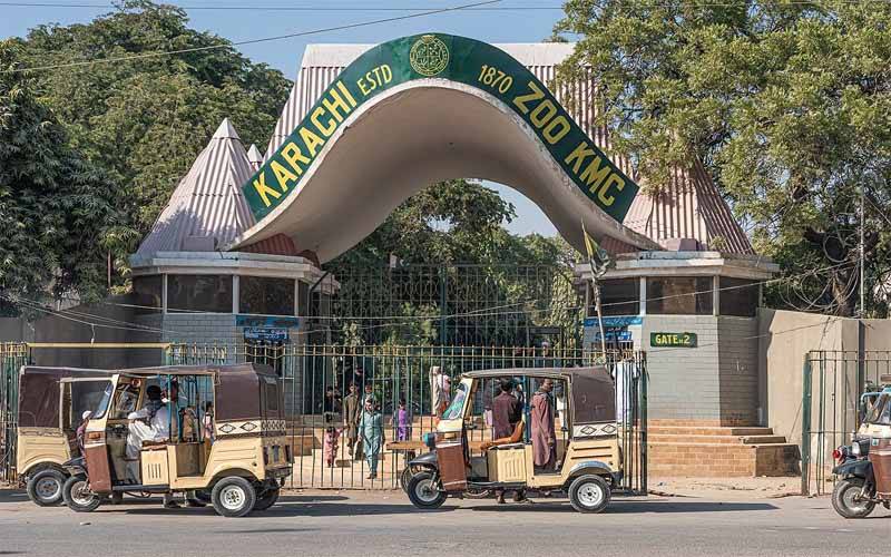 Sindh High Court establishes high-level committee to phase out zoos