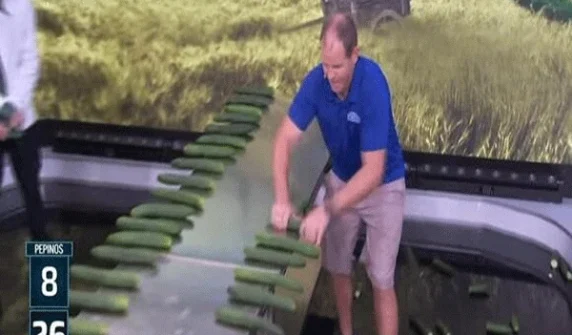 Record for picking the most cucumbers from a bunch in the shortest time