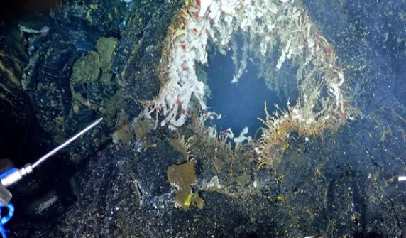 Earthquake tremors near undersea volcano!