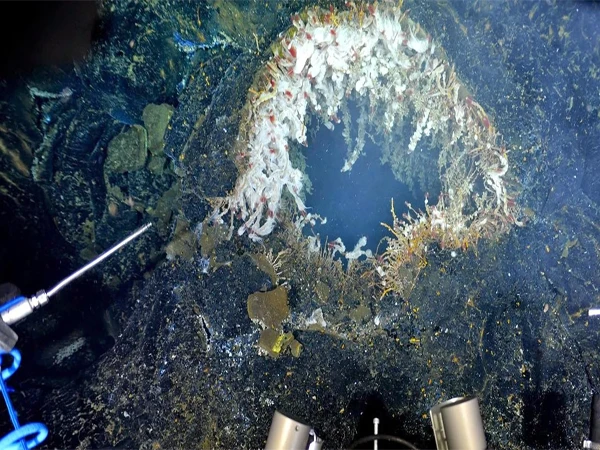 Earthquake tremors near undersea volcano!