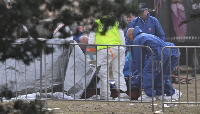 New facts emerge in investigation
