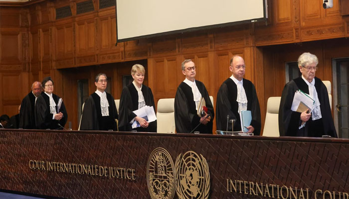 Belgium formally supports South Africa in the International Court of Justice