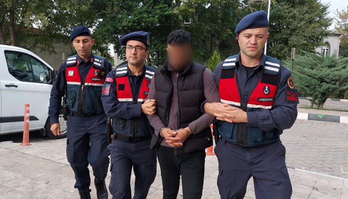 Turkey foils Christmas and New Year terror attack plot