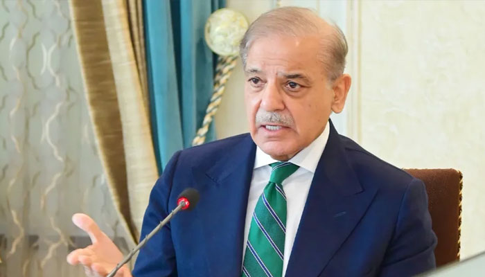 High-level committee formed to check legality of buying