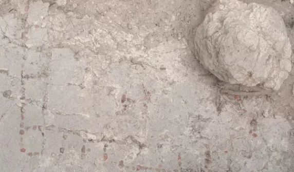 Mysterious ancient Ludo-style game discovered