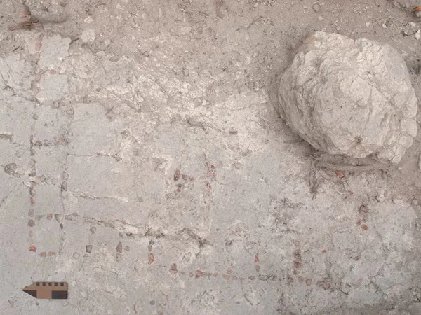 Mysterious ancient Ludo-style game discovered