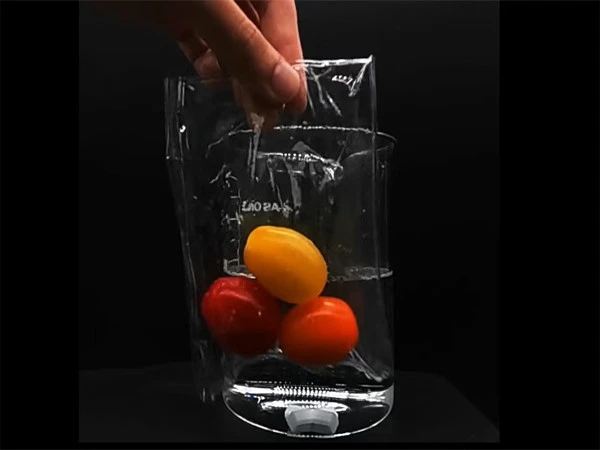 New type of plastic that dissolves in the natural environment invented