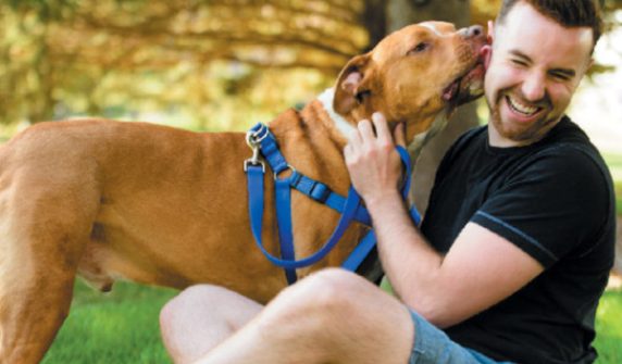 What animals did humans domesticate before dogs?