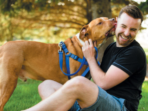 What animals did humans domesticate before dogs?