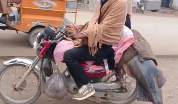 Fisherman from Shakargarh catches 102 kg fish from River Ravi