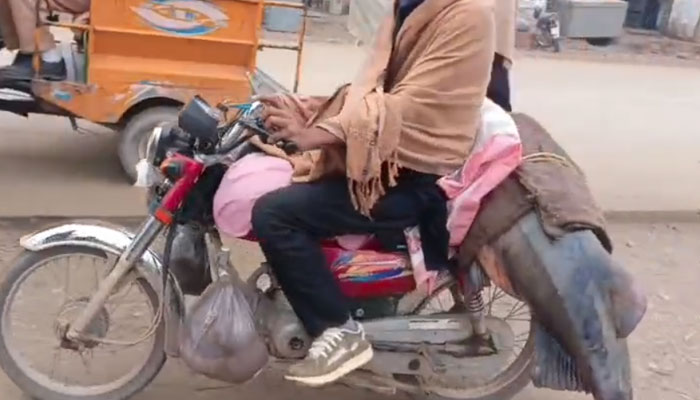 Fisherman from Shakargarh catches 102 kg fish from River Ravi