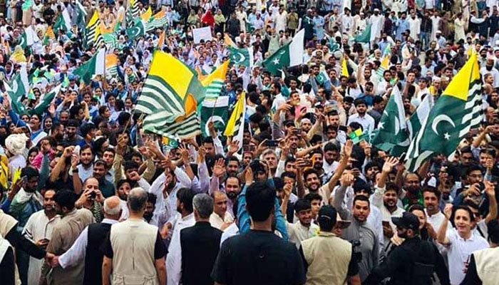 Kashmiris around the world, including Pakistan