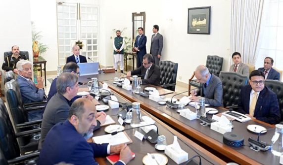 Privatization of electricity distribution companies after PIA