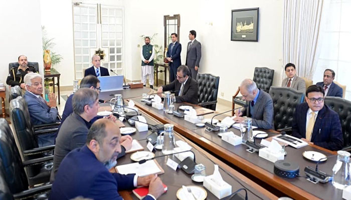 Privatization of electricity distribution companies after PIA