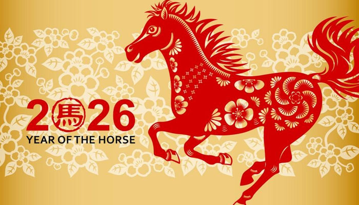 Why was the year 2026 declared the year of the horse