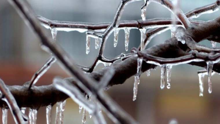 Severe cold wave continues in the country