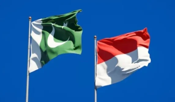 Pakistan, Indonesia agree on medical cooperation
