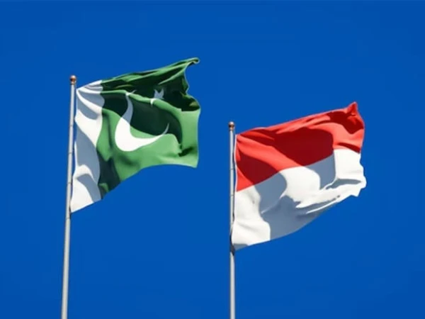 Pakistan, Indonesia agree on medical cooperation