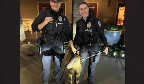 Goat arrested after trying to break into retirement home