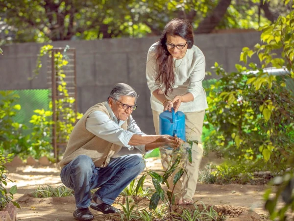 Do you also want to do gardening at home?