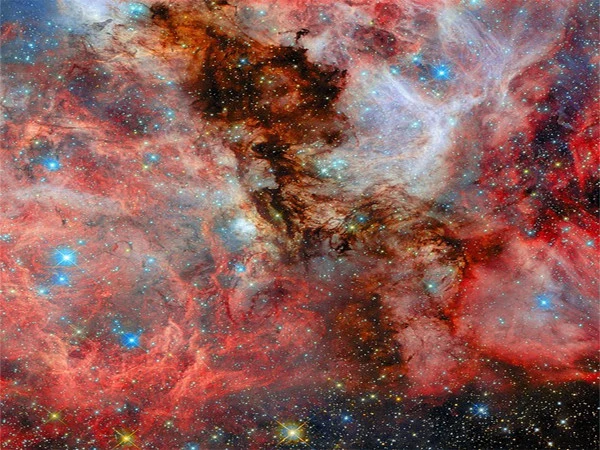 Beautiful image of star-making factory in space released