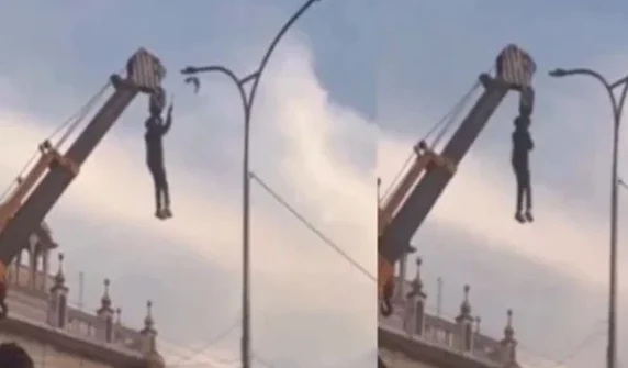 Young hero risks his life to save innocent bird