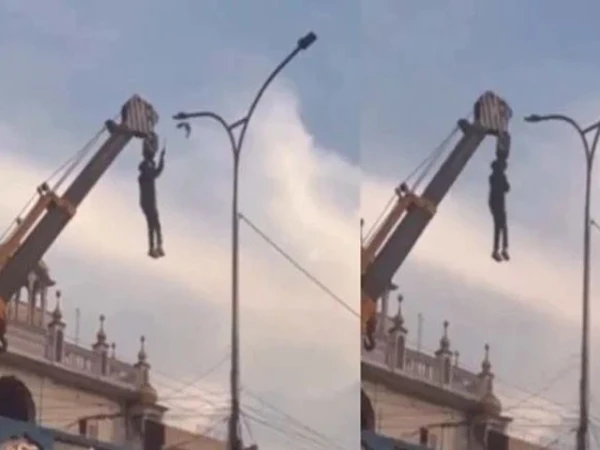Young hero risks his life to save innocent bird