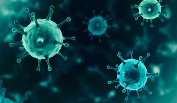 Experts warn of the threat of two new viruses