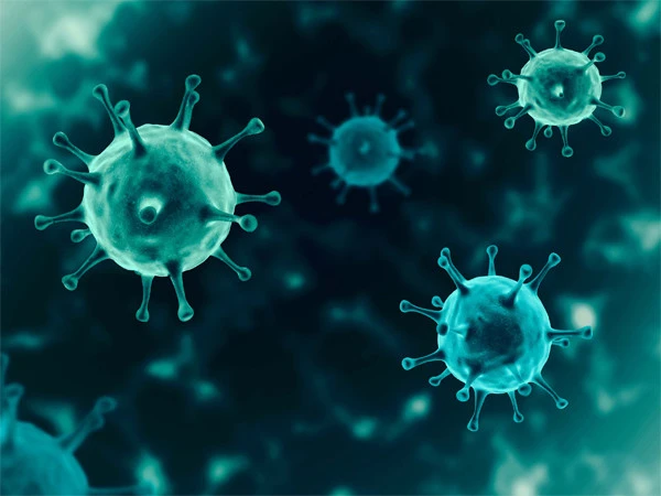Experts warn of the threat of two new viruses