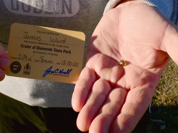 Family's fortune unravels as they set out on a treasure hunt