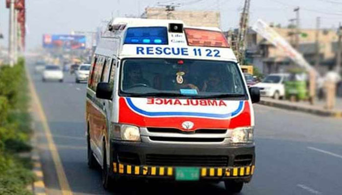 4 people killed in car and truck collision