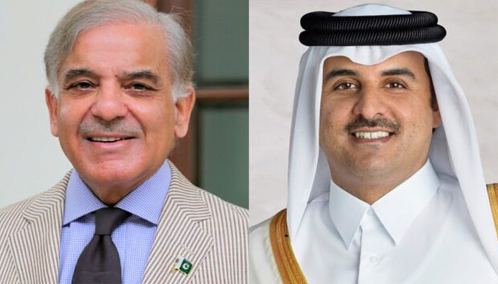 Telephone conversation between Shehbaz Sharif and Emir of Qatar