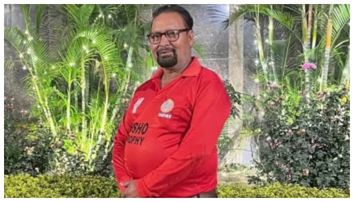 Bees attack during match, umpire killed