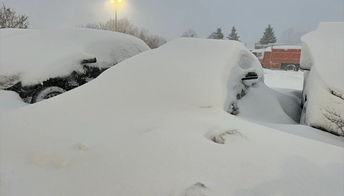 Historic snowstorm in America paralyzes life